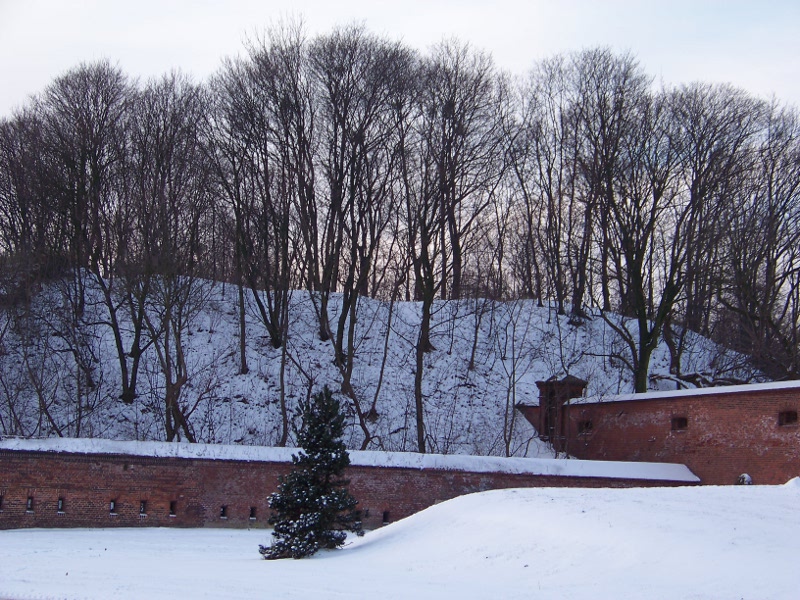 Torun in snow 1