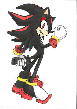 Shadow the Hedgehog Coloured