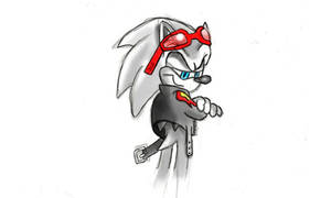 scourge the hedgehog