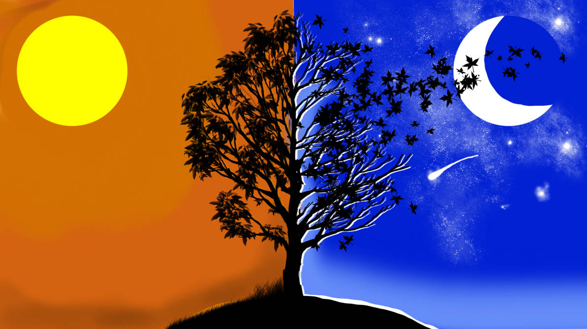 Contrast Tree Contrast Tree by gxcinema5 on DeviantArt