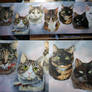 Portrait of Seven cats