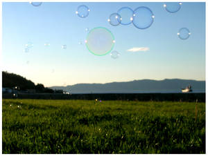 a billion bubbles in my mind.