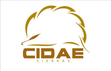 cidae