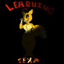 Learning with Fexa..?