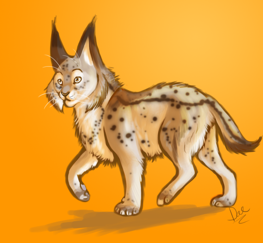 Lynx Speedpaint