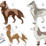 Point Adoptables -GONE-