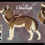 Okaleigh Reference sheet