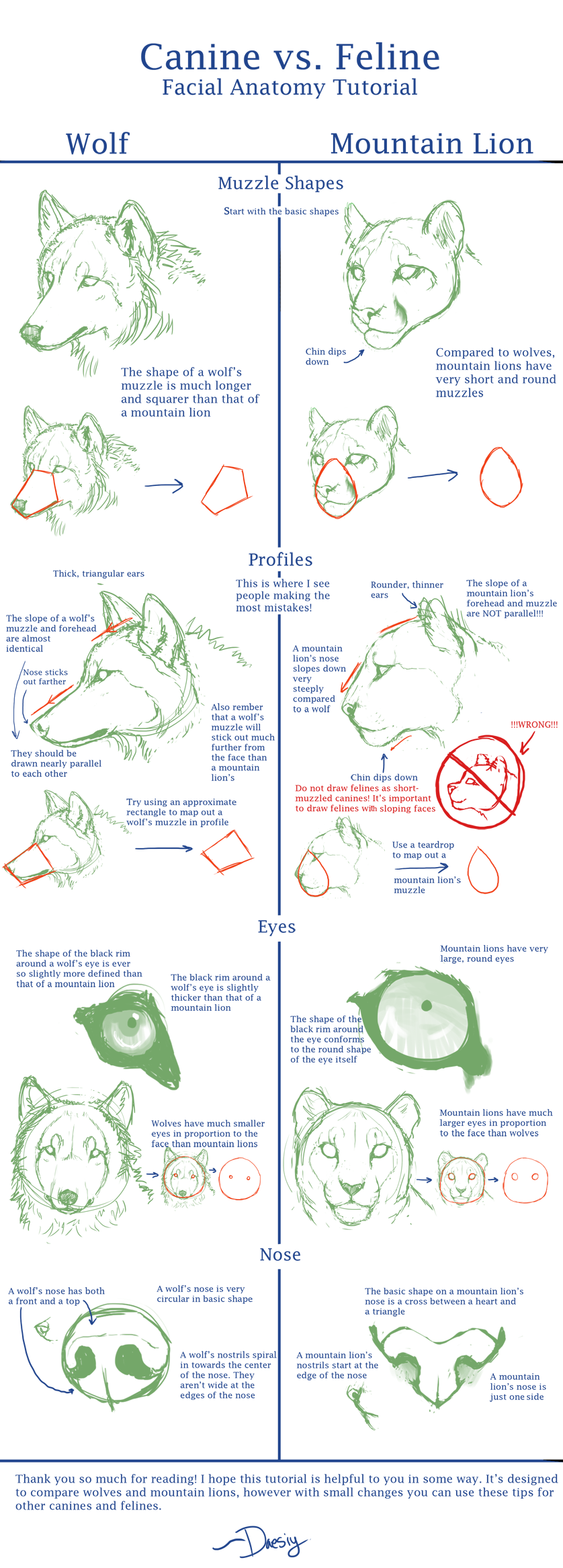 Feline canine best sale