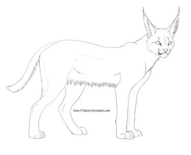 Free Caracal Lines