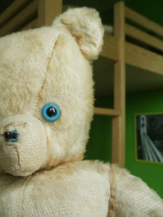 Blue Eyes Teddy Bear by BCause on DeviantArt