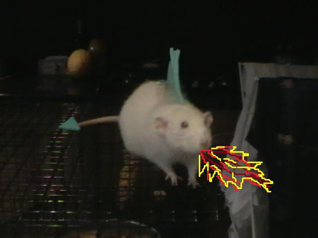 Dino Rat by JessMonsta on DeviantArt