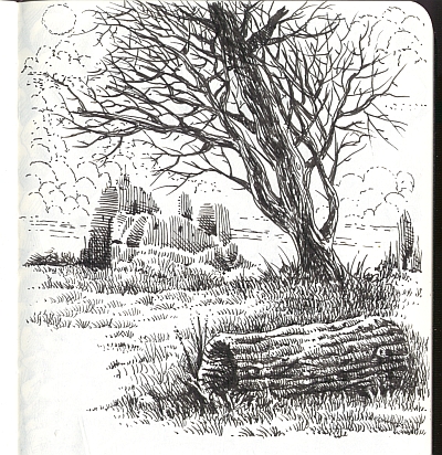 Moleskine Landscape Doodle 2