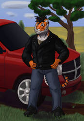 Tiger and his car