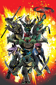 IDW NInja Turtles issue 19 cover