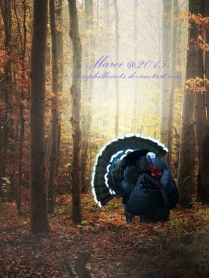 Pardoned for another Year by marphilhearts Pardoned for another Year by marphilhearts