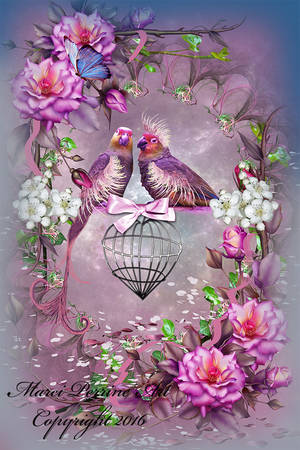 Love Birds by marphilhearts