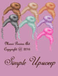 Simple Upsweep Hair Pack - More Than 50% Off