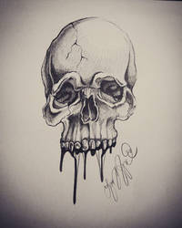 Skull Sketch