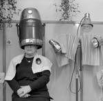 by the hairdresser by kristof13 by the hairdresser by kristof13