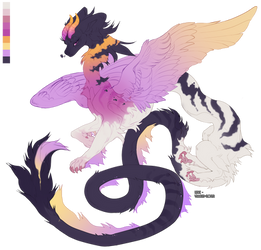 Dragon adopt (Closed) Set price