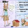 Happy-Tails: Rory the Corgi NPC