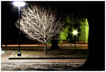 white tree deco disassembled