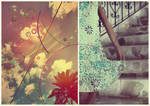 Turev by sakiryildirim