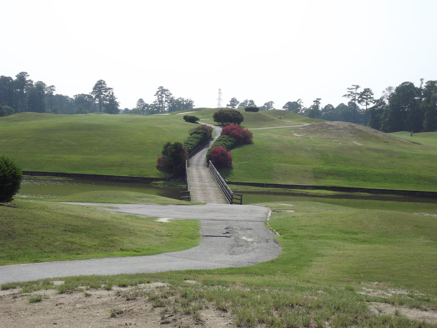 The Endless Pathway by PrincessShiera on DeviantArt