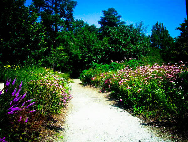 The Path Less Traveled by Nnicaps on DeviantArt