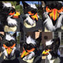 Toucan Griffin AUCTION CLOSED