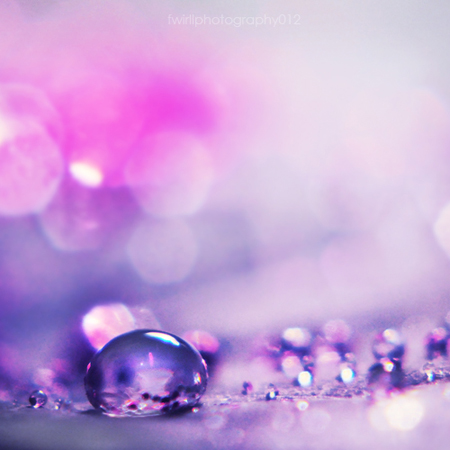 Lavender drop..