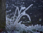 winter 11 by cheah77