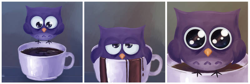owl in the coffee