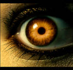Golden Eye. by deadstarx