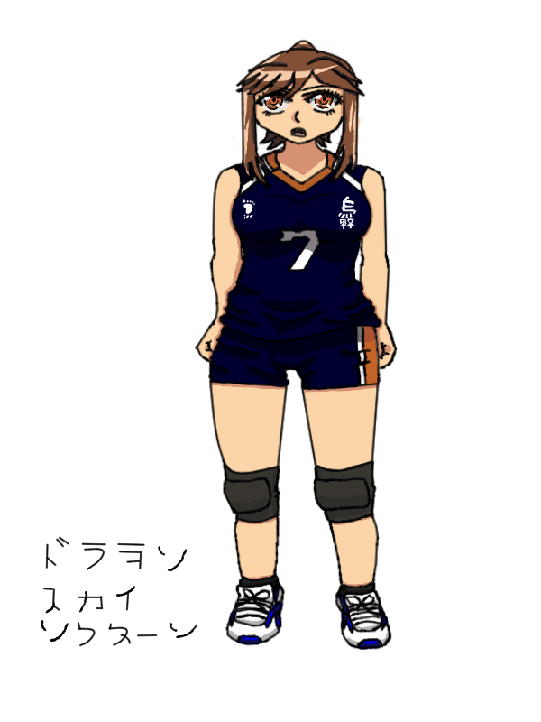 VolleyBall Karasuno - dadaartimka #7 - Color