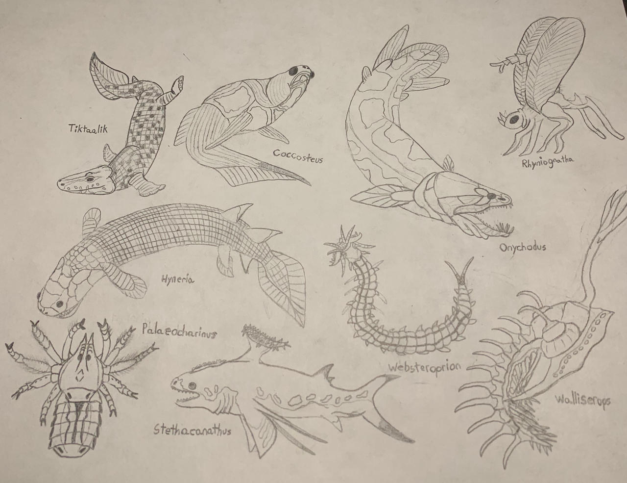 Devonian Animals by Kimitfrg777returns on DeviantArt