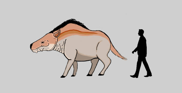 Daeodon by Kimitfrg777returns on DeviantArt