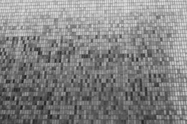 Mosaic in Monochrome