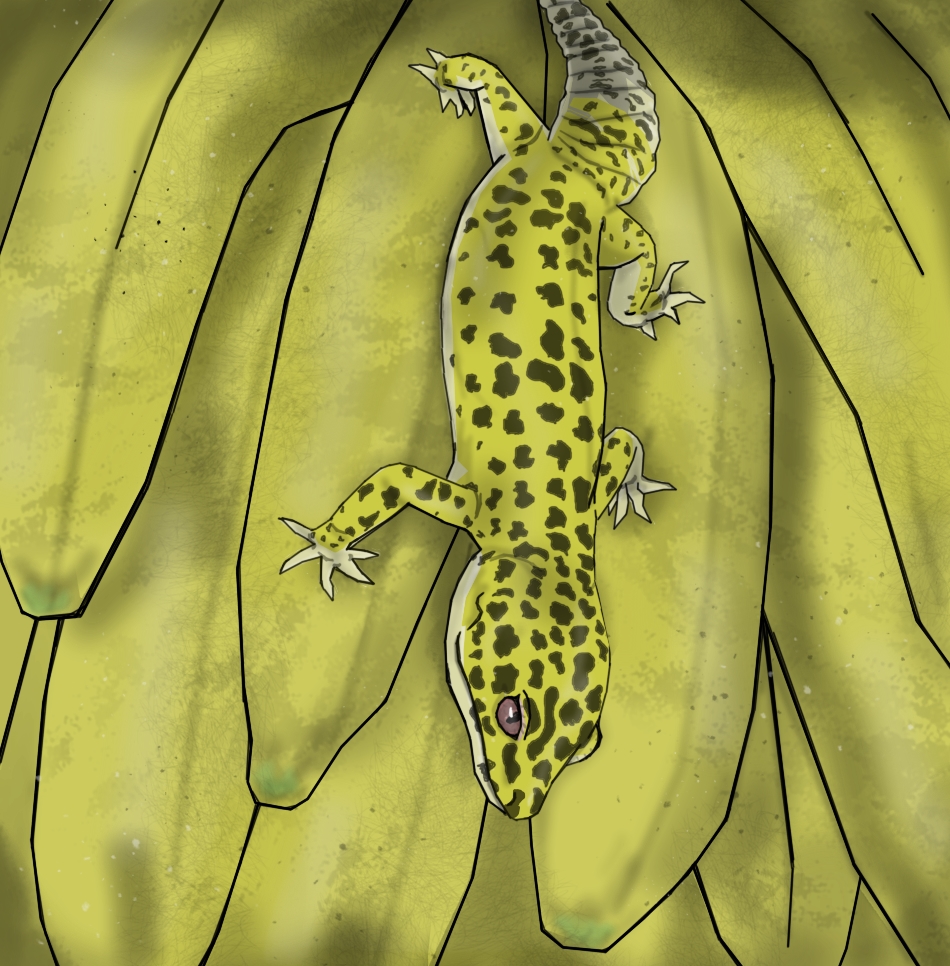 Gecko Deviantart Leopard gecko on bananas by BTaylor76893 on DeviantArt