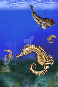 sea horse