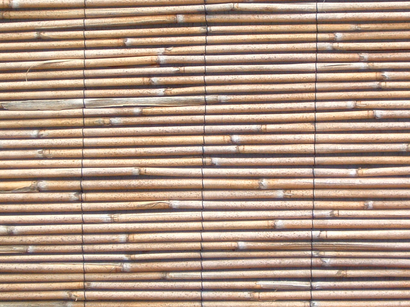 Bamboo windowshade texture