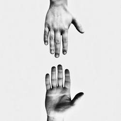 Hand/2