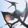 Pteranodon Pride-Verse flying reptile Profile