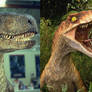 Legacy Raptors from Jurassic Park original Trilogy