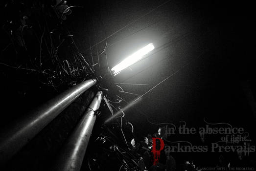 IN THE ABSENCE OF LIGHT...