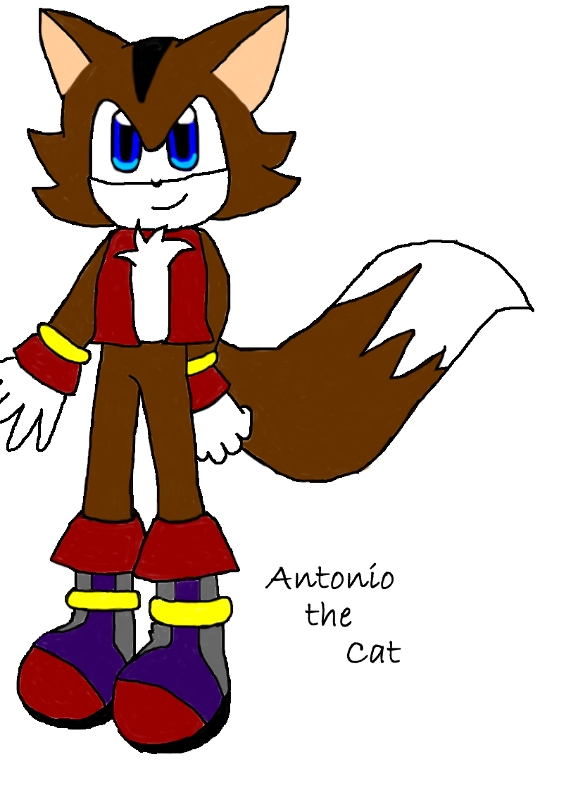 Antonio the Cat