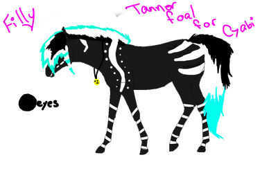 Tanner Foal 5