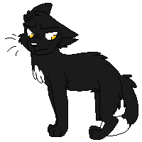 Ravenpaw || Free for Use