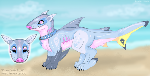 Sharkledog Adopt: Diamond Blue [Closed]