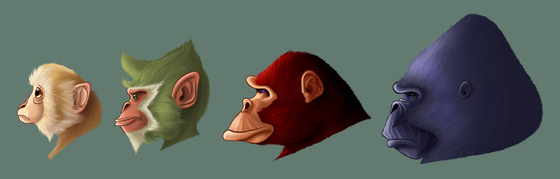 Monkey Profiles
